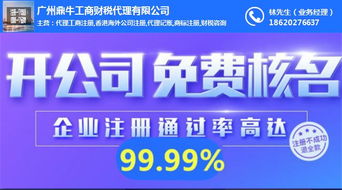 南沙區公司注冊與品牌構建 一站式服務解決方案